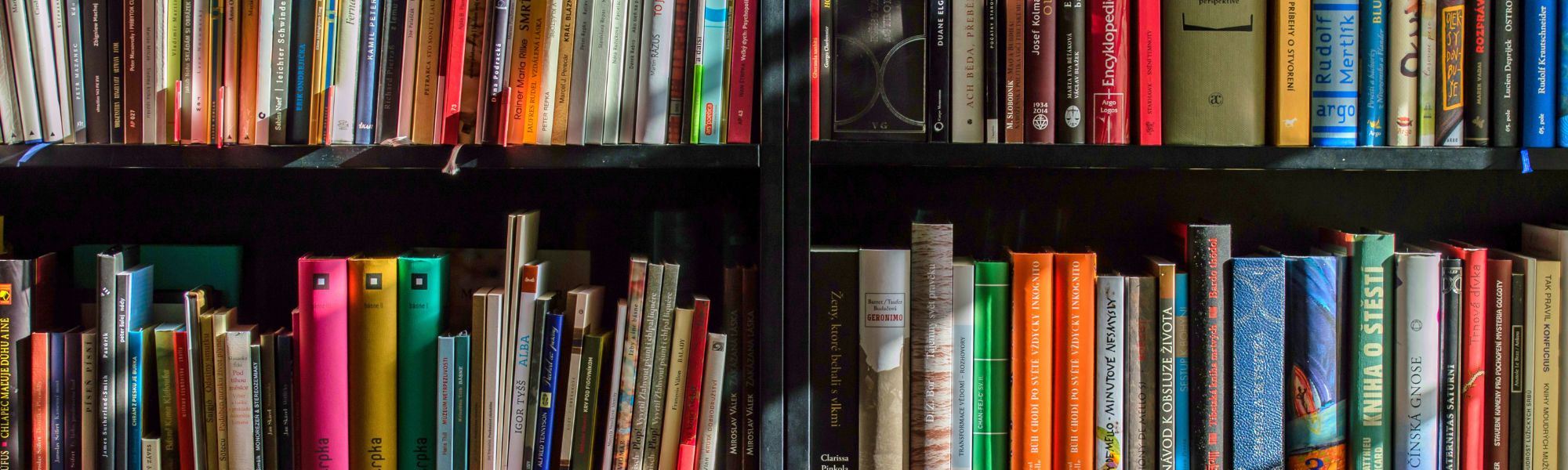 Image of books in a library