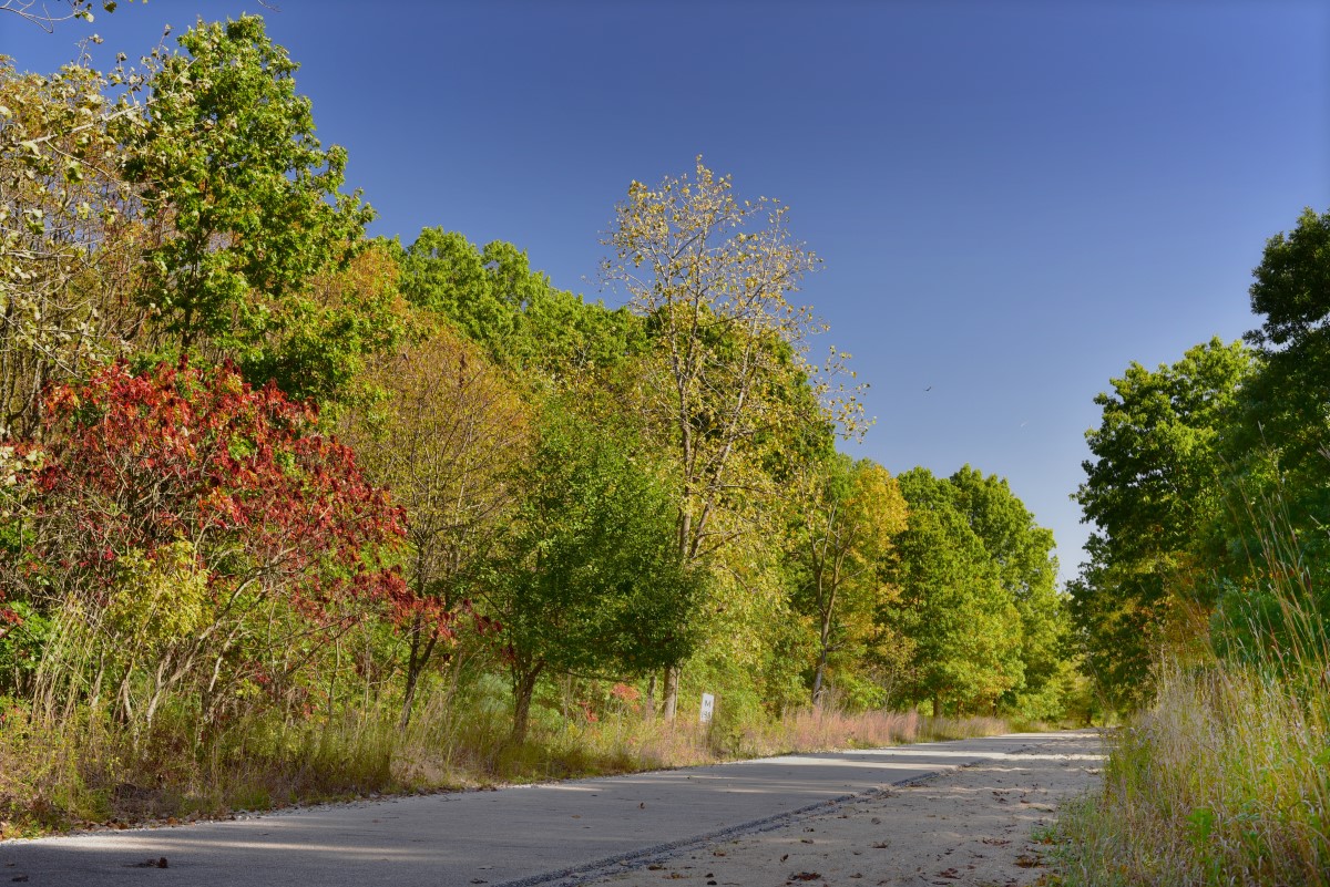 Erie Trail at Lena Park in Starke County, Indiana | Photo Credit: Martin R. Lucas