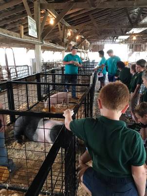 Photo courtesy of Jefferson County 4-H